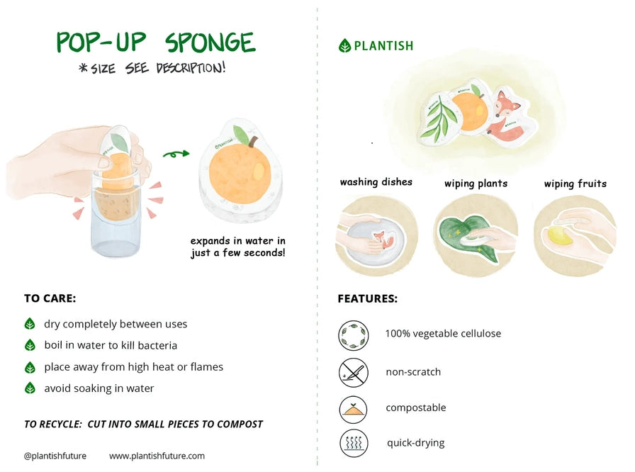 Pop-up Sponge - Zero Waste